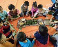 Trẻ tập gói bánh chưng