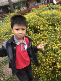 Hoạt động tham quan dã ngoại nông trại Vạn An - Thanh trì - Hà Nội