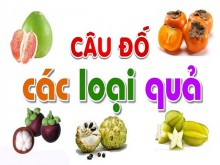 Cau do ve cac loai qua