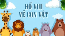 Câu đố về con vật