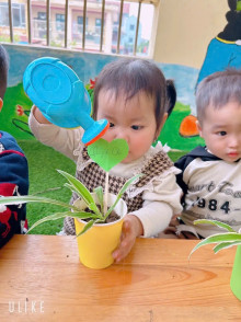 🌱💚 Mùa xuân yêu thương – Ươm mầm Hạnh phúc! 💚🌱