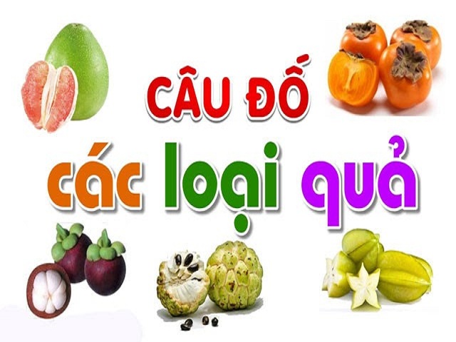 Cau do ve cac loai qua