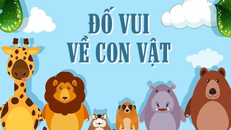 Câu đố về con vật